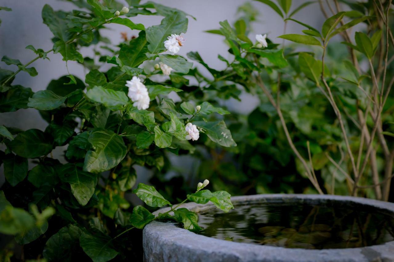 The Purple Hue Homestay 외부 사진